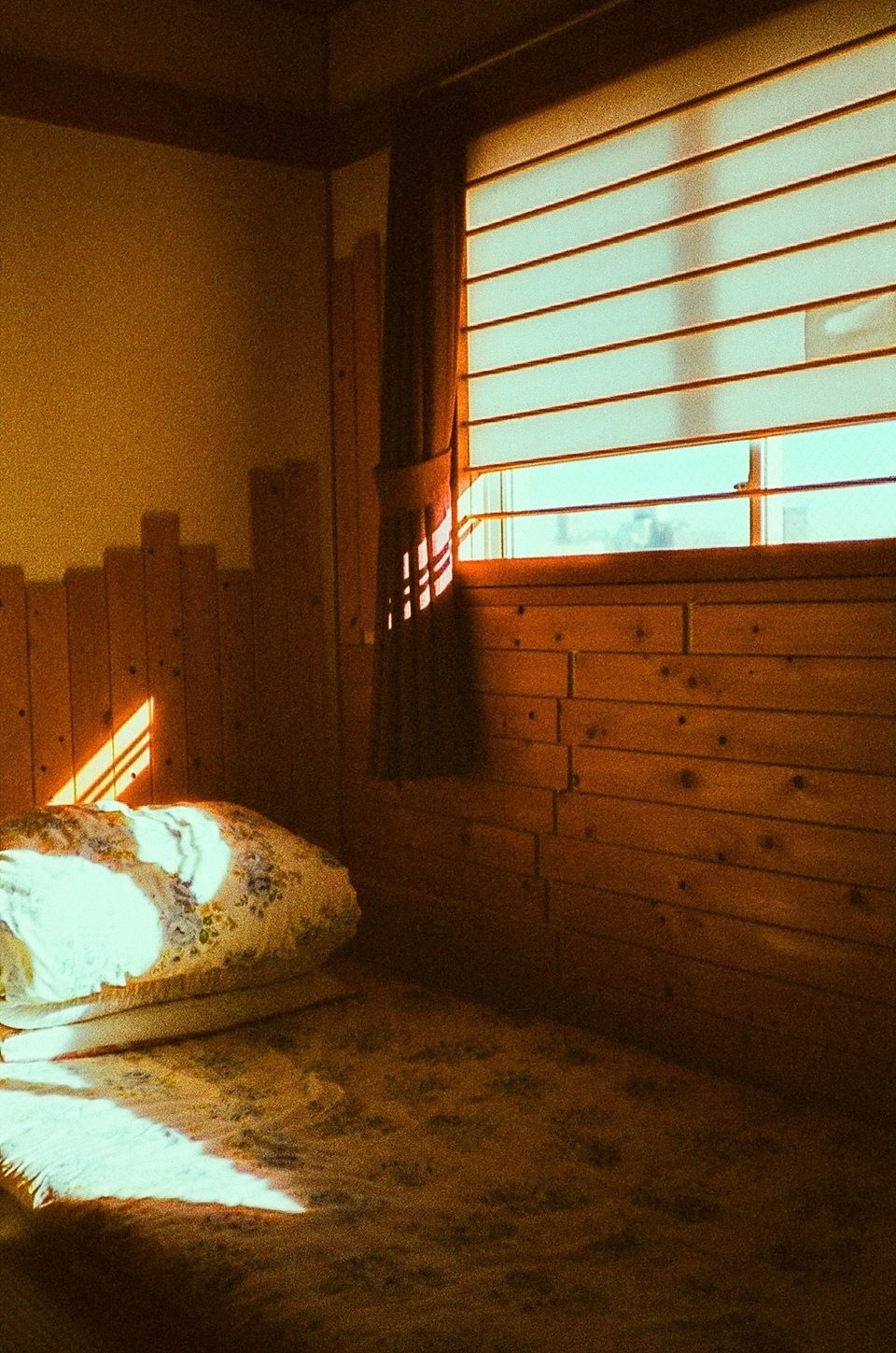 Film photo by Gabriela Mendez