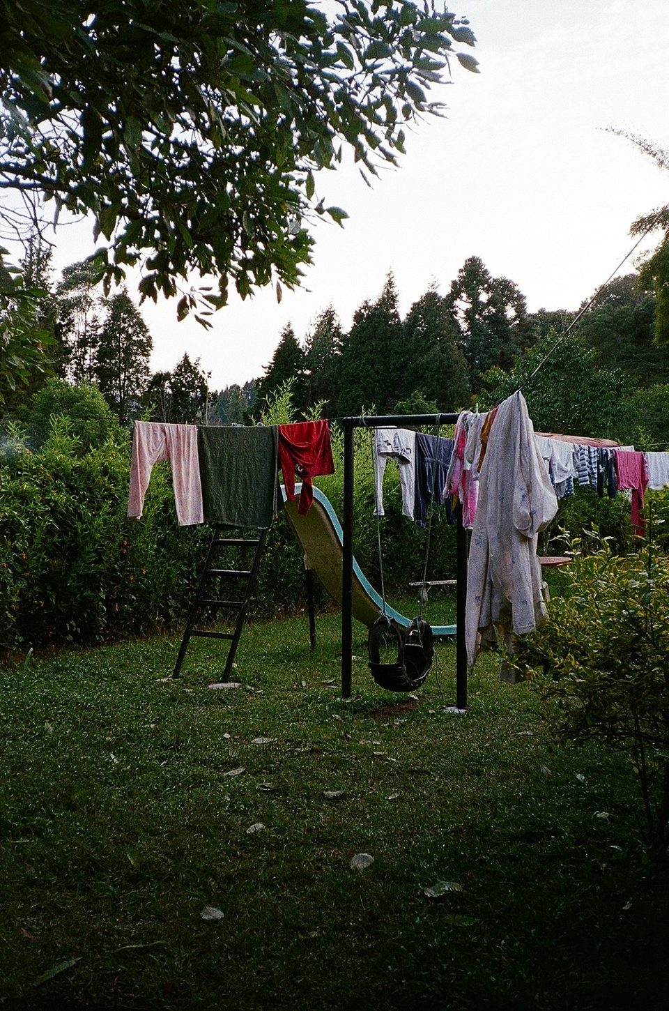 Film photo by Gabriela Mendez