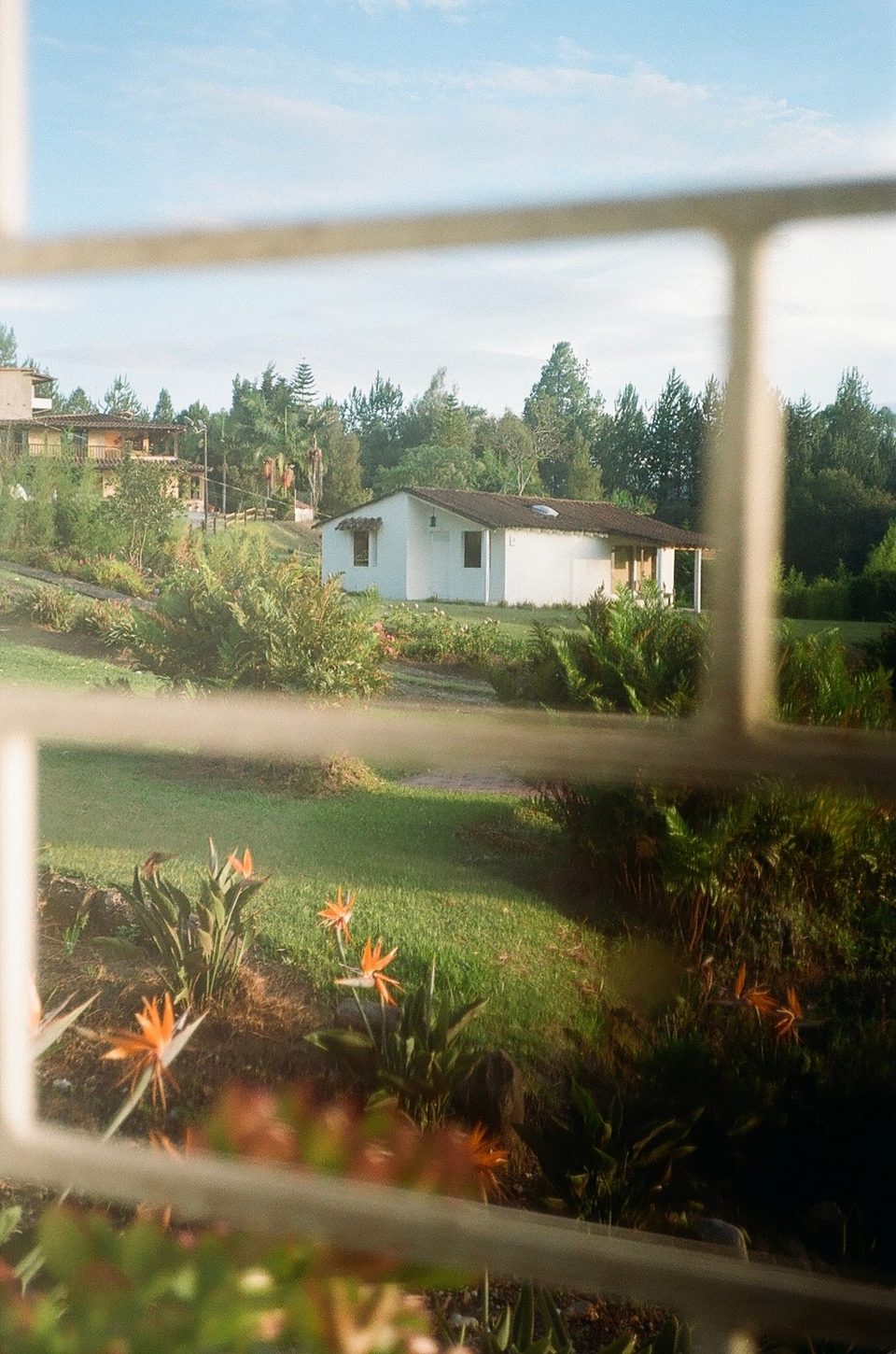Film photo by Gabriela Mendez