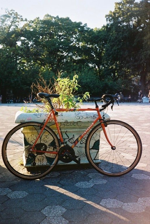 Film photo by Gabriela Mendez