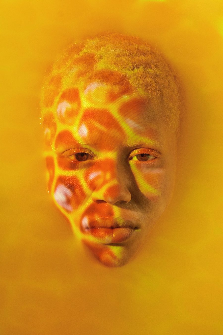 Bee Hive